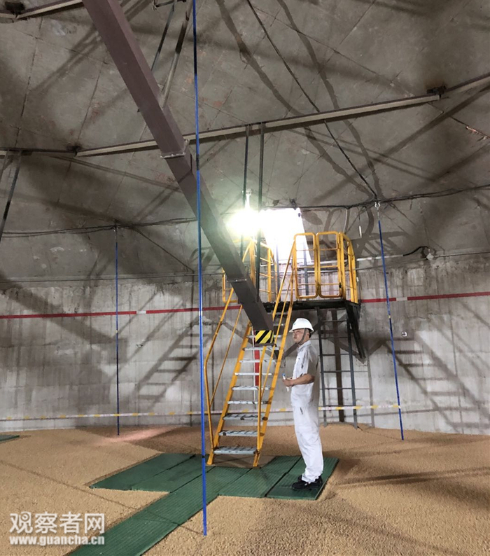 浅圆仓内分布着30根测温线缆（蓝色）&nbsp;&nbsp; 图：观察者网