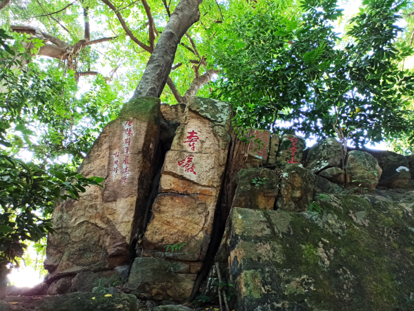 冶山春秋园一隅（央广网发 罗晓英摄）