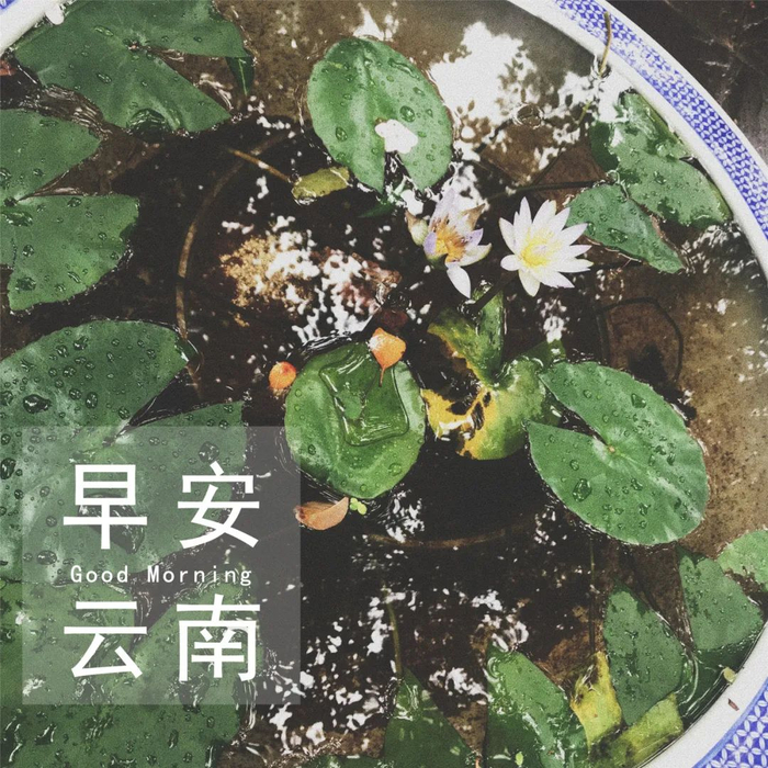 王茜婷 摄