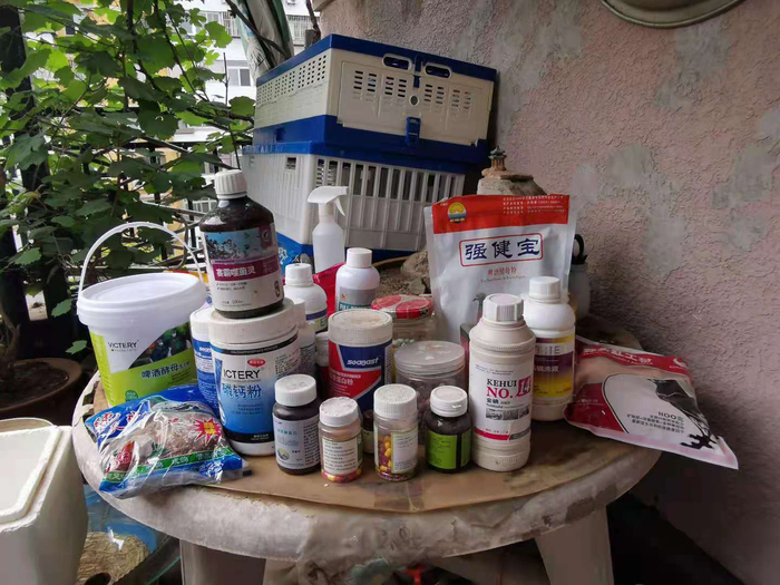 李凡为鸽子准备的药物、洗液和保健品。实习生 许琳迪 摄