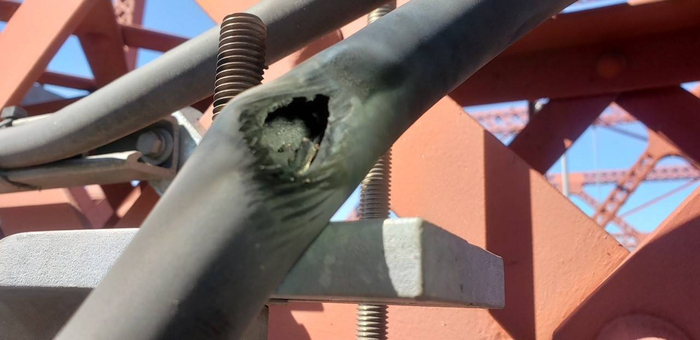 图自社交媒体推特