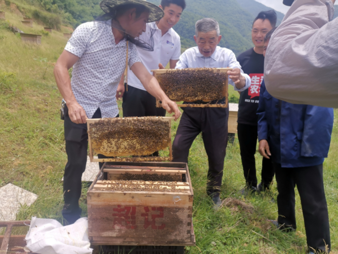 黄大发说当地的大米、蜂蜜、菜籽油都是特别好的农产品。受访者供图