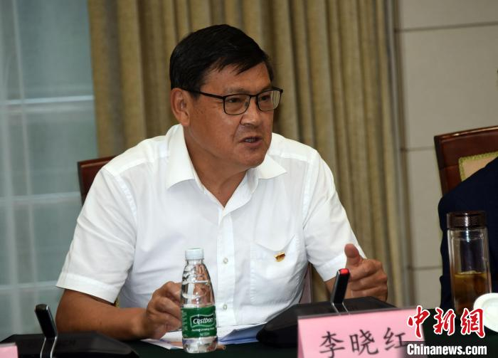 中国工程院党组书记、院长李晓红在座谈会上讲话。　中新社记者 孙自法 摄