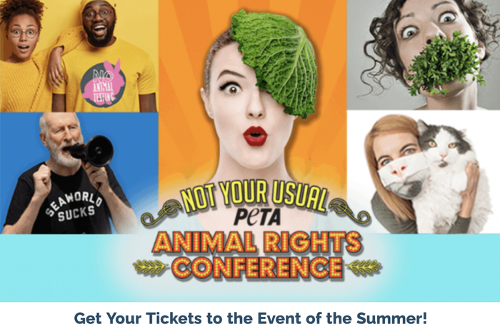 善待动物组织网站上发布的动物权利大会的活动信息。