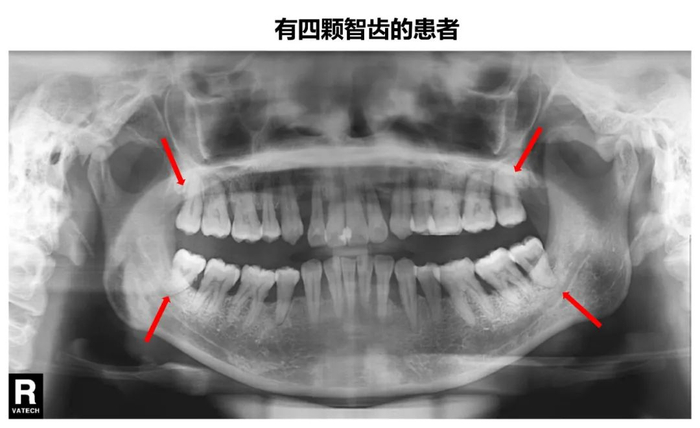 作者供图