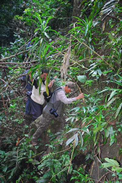 在密林里追象拍摄的团队，右一为邱开培。