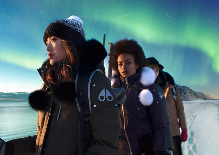 Moose Knuckles 图片来源：Notion