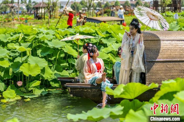 荷塘吸引游人“打卡”。　新津区委宣传部供图