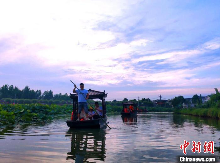 荷塘吸引游人“打卡”。　新津区委宣传部供图