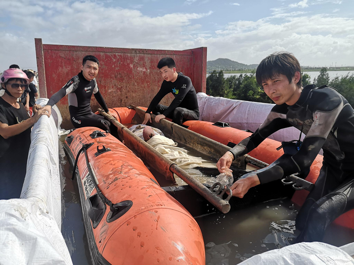 救援人员通过运载车将鲸豚转移。图源：临海市委宣传部