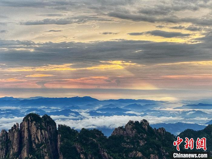 黄山群峰直插云霄 胡珊 　摄