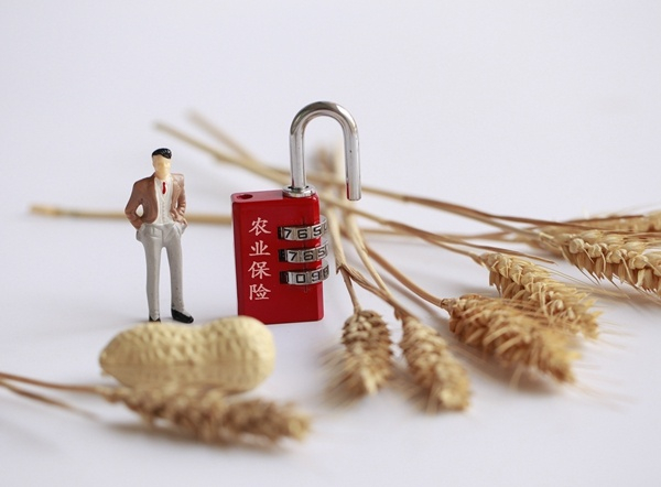 （图片来源：CFP）