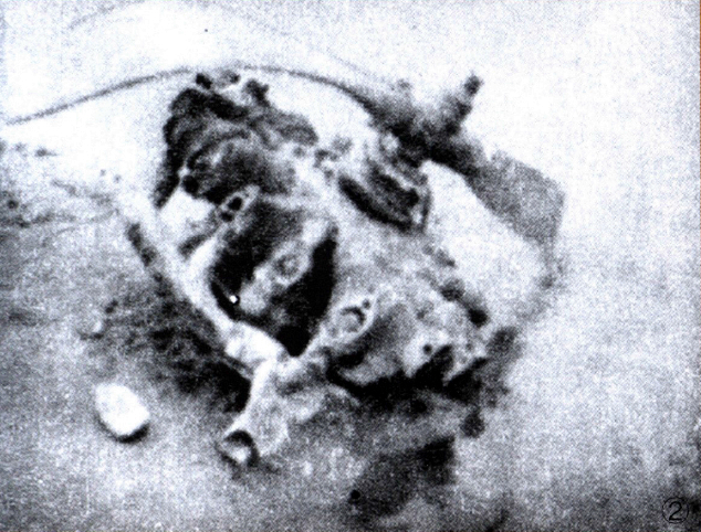 被挺进军击落的飞机残骸。