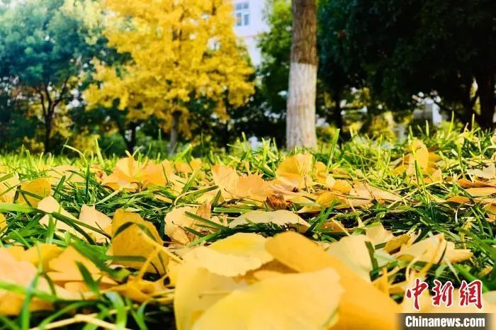 资料图：图文无关。董晓斌 摄