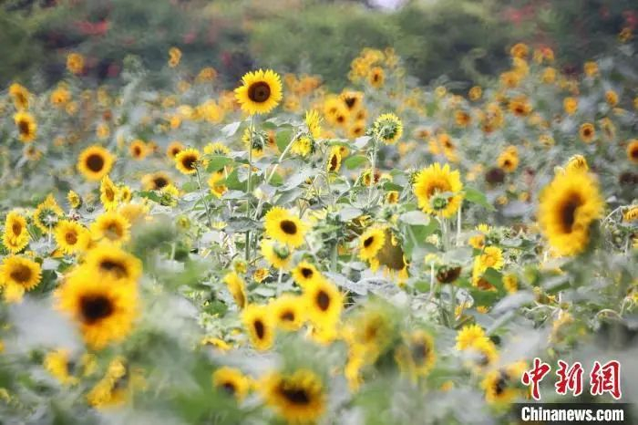 资料图：图文无关。泱波 摄