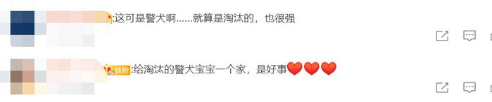 在提醒善待狗狗的同时