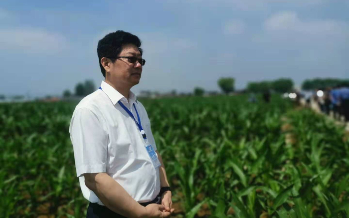 　　7月3日，中国农科院副院长梅旭荣到寿阳站的试验田里调研。作为旱地农业技术的研究者，他几乎每个月都会来这里。新京报记者 周怀宗 摄