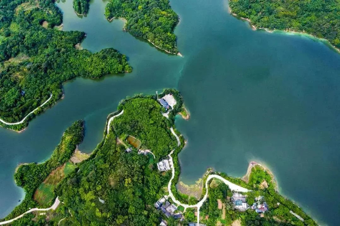 位于重庆市南岸区境内的迎龙湖国家湿地公园。张坤琨 摄