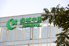 “6层楼”被风吹塌，绿城济南造假骗取预售证，住建局打五十大板：暂停销售