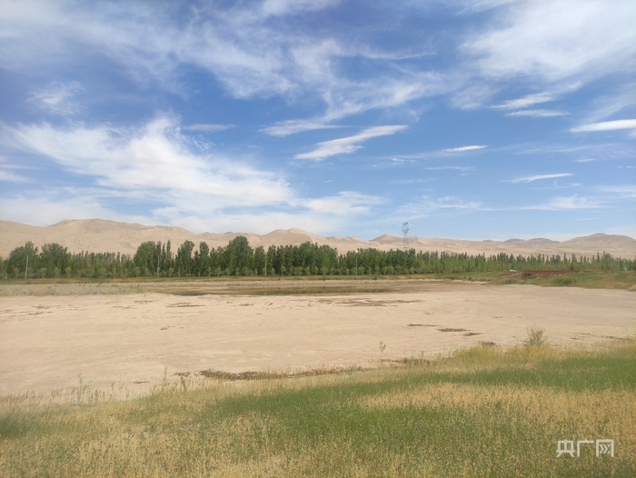 目前未蓄水的7号渗水池（央广网记者 高欣然 摄）