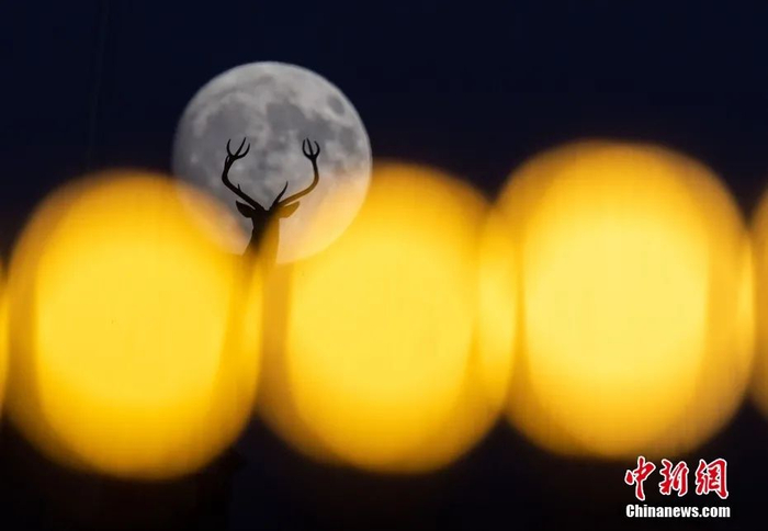 图片来源：视觉中国