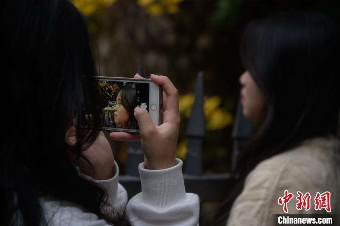 市民驻足拍照。　李南轩 摄