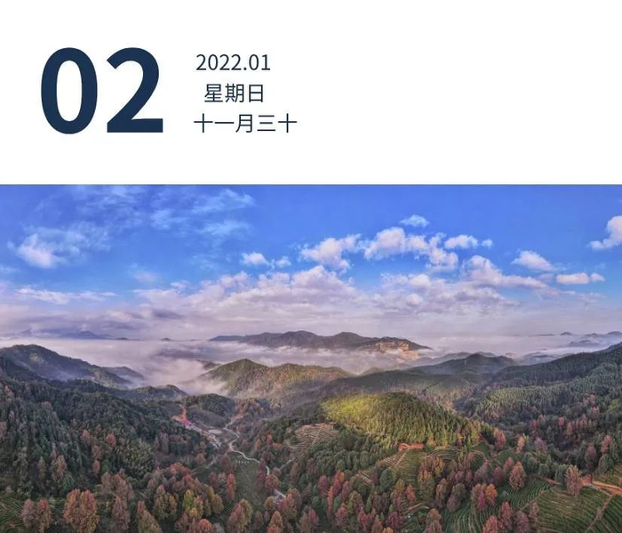 河源上仙湖茶园，冬季枫林层林尽染。获得生命 摄