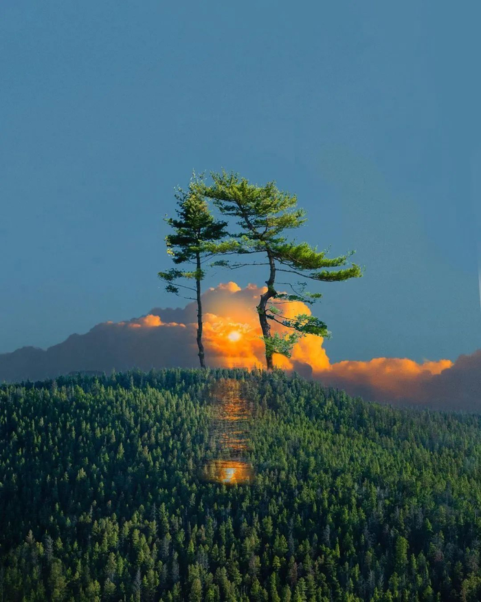 本期编辑 | 王爽资料 |  樊登读书、洞见、十点读书；图片来自网络