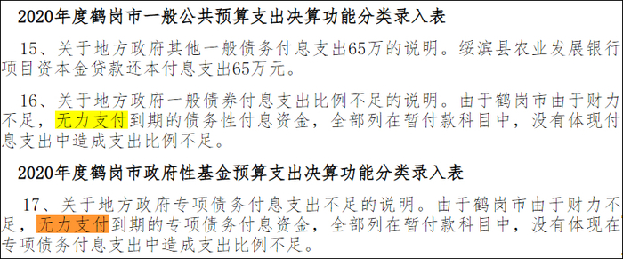 截图自《2020年度鹤岗市财政总决算强审说明》