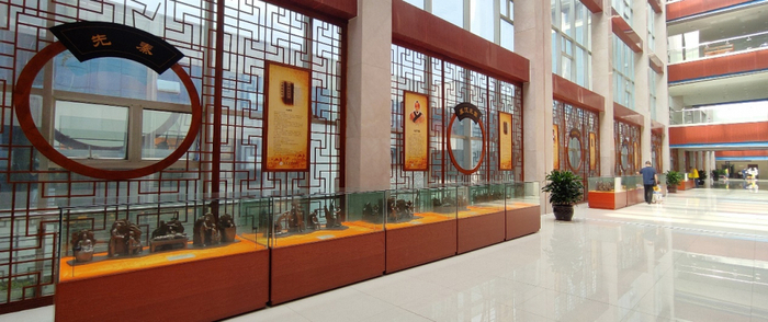 ▲院内中医药文化长廊