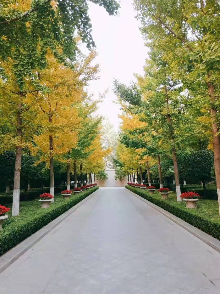 尽管市场仍待复苏，但洛晨依然坚持奋斗在售楼员岗位上。图为洛晨曾经带看的小区。受访者供图