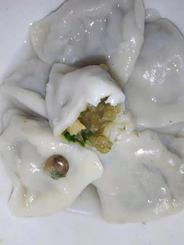 水饺馅儿里的蜗牛 本文图均为 受访者 供图