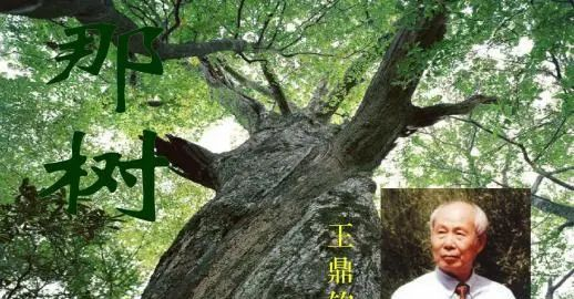 高华：这部书，是一份极具历史和人文价值的个人总结