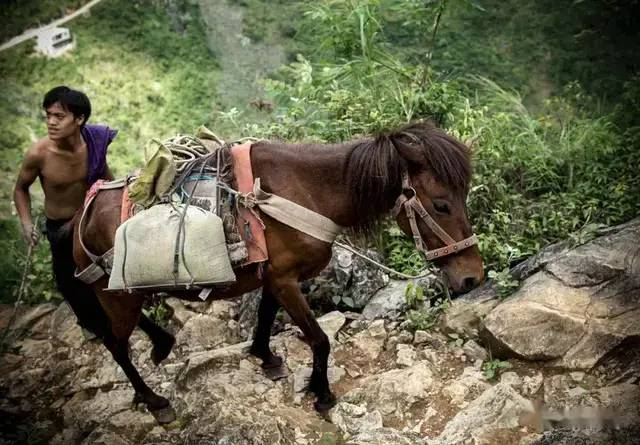 通公路前的弄为屯交通状况。唐黎花 摄