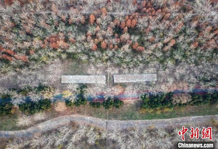 航拍冬日里的江苏洪泽湖古堰。　泱波 摄