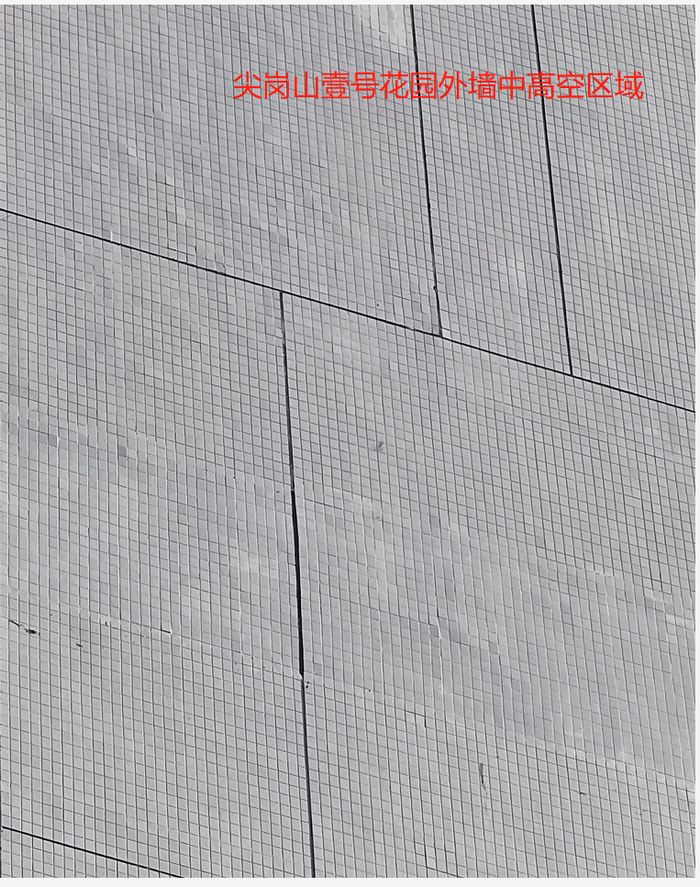 尖岗山壹号花园业主供图。