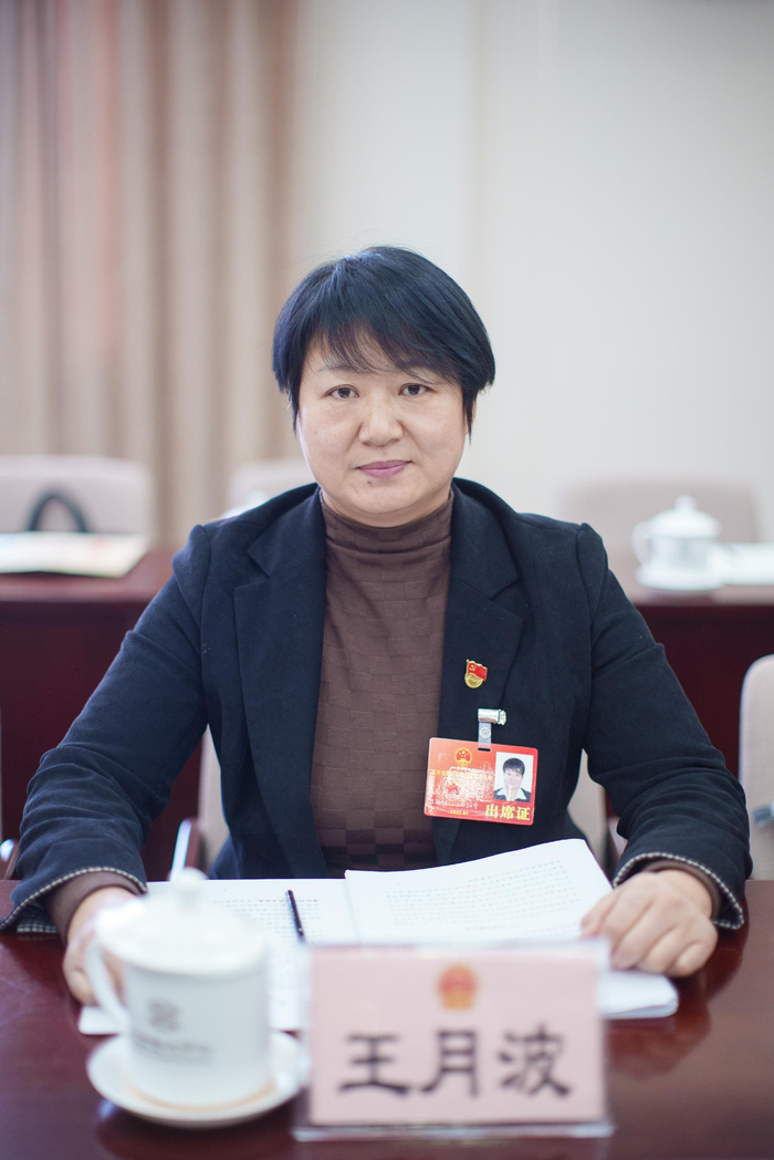 北京市人大代表、平谷区滨河街道滨河社区党总支书记、居委会主任王月波。新京报记者 王子诚 摄