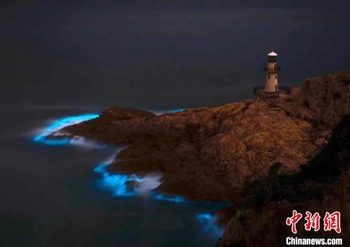 台州大陈岛“蓝眼泪” 车邦国 　摄