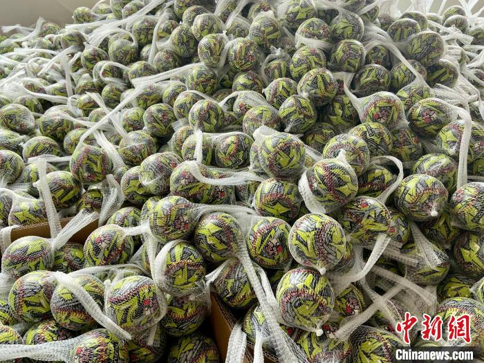 出口的棒垒球 项菁 摄