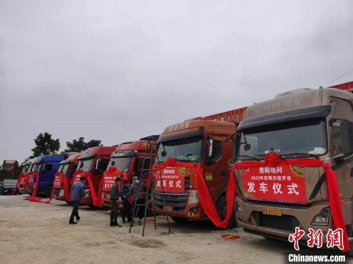图为工作人员为沃柑发车做准备 武鸣宣传部供图