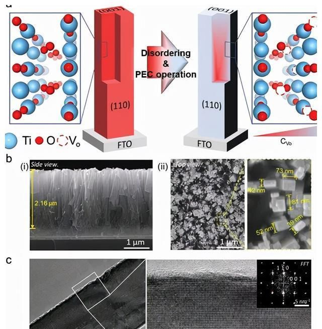 光电化学驱动的“自净化”法,助力TiO2光电极氧空位梯度分布