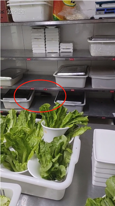 ▲&nbsp;老鼠在备餐架上