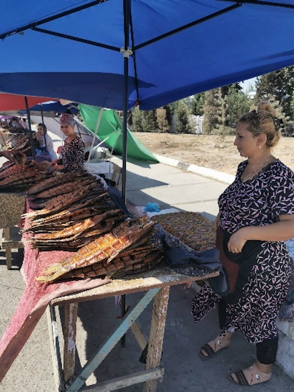 从塔什干赴撒马尔罕沿途所见