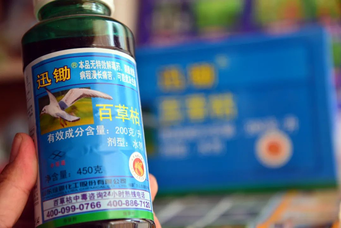 🔹自2014年7月1日起，撤销百草枯水剂登记和生产许可、停止生产，2016年7月1日停止水剂在国内销售和使用。中新社发 赵玉国 摄