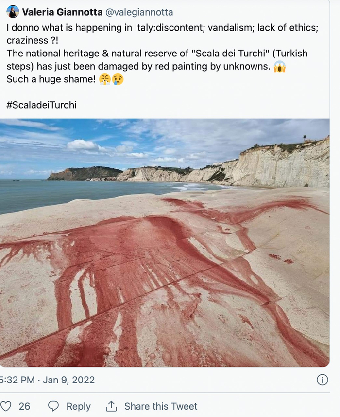 破坏事件得到了民众广泛关注，人们在意大利社交媒体上谴责肇事者