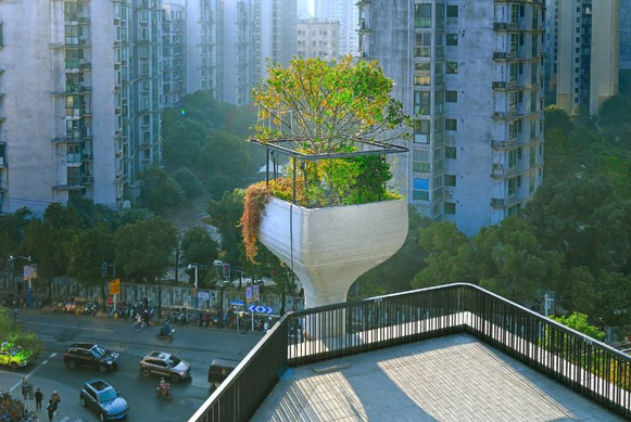 时已三九，屋顶“花盆”中的树木依然保持绿色。俞远明 图