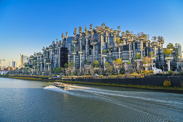 天安千树第一期  视觉中国 图