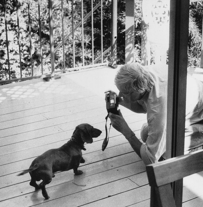 霍克尼和他忠诚的小伙伴在好莱坞家中的露台上，保罗•乔伊斯 摄