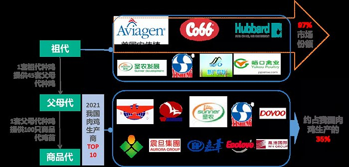 数据来源：公开网站，35斗整理