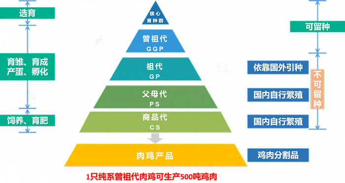 数据来源：公开网站，35斗整理